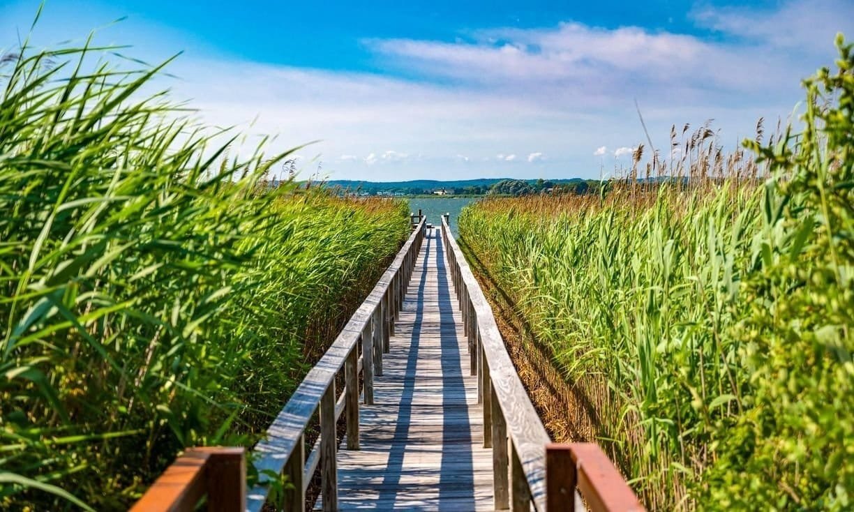 360 Dune Road, Bridgehampton, Ny 11932 House in Bridgehampton, New York, United States