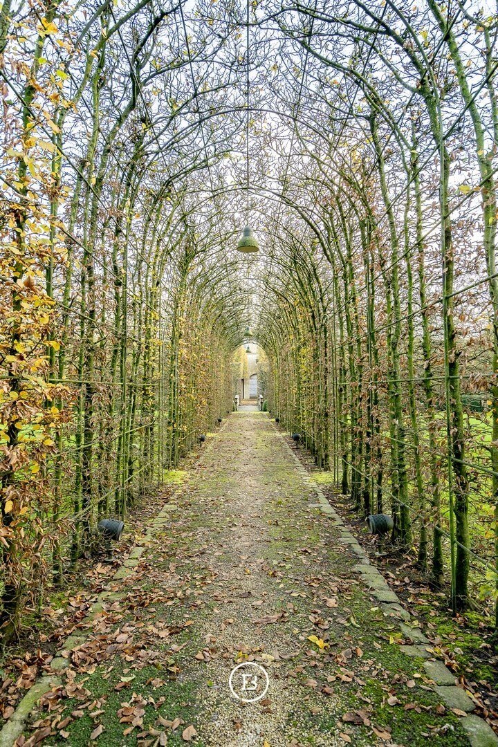 Minimalist Masterpiece Aalter, Flanders, Belgium