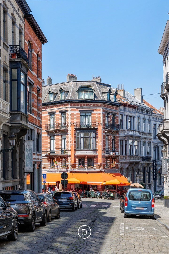 Revenue Property In Brussels & Terlinden Castle Apartment in Bruxelles, Brussels, Belgium