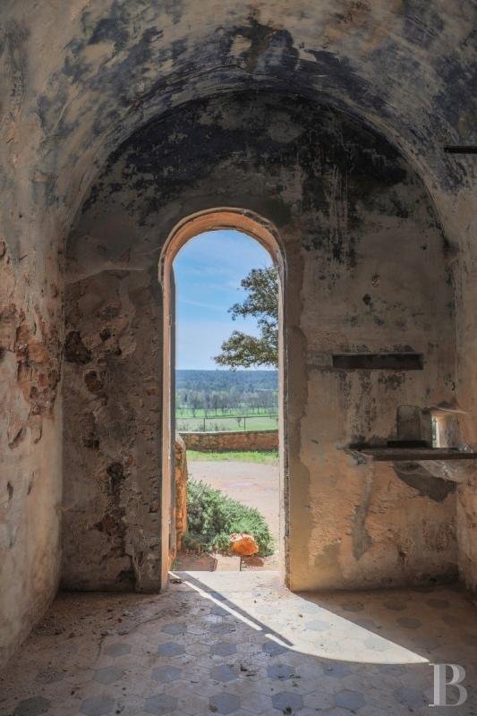 A Chateau And Its Outbuildings Set In A Vast 160 Ha Estate Comprising Plains, Forests, Olive Castle in Cotignac, Provence Alpes Côte D’azur, France