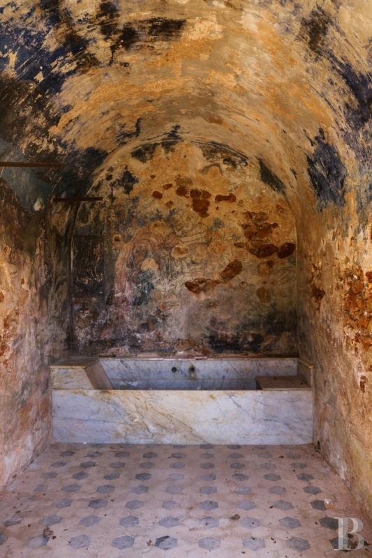 A Chateau And Its Outbuildings Set In A Vast 160 Ha Estate Comprising Plains, Forests, Olive Castle in Cotignac, Provence Alpes Côte D’azur, France