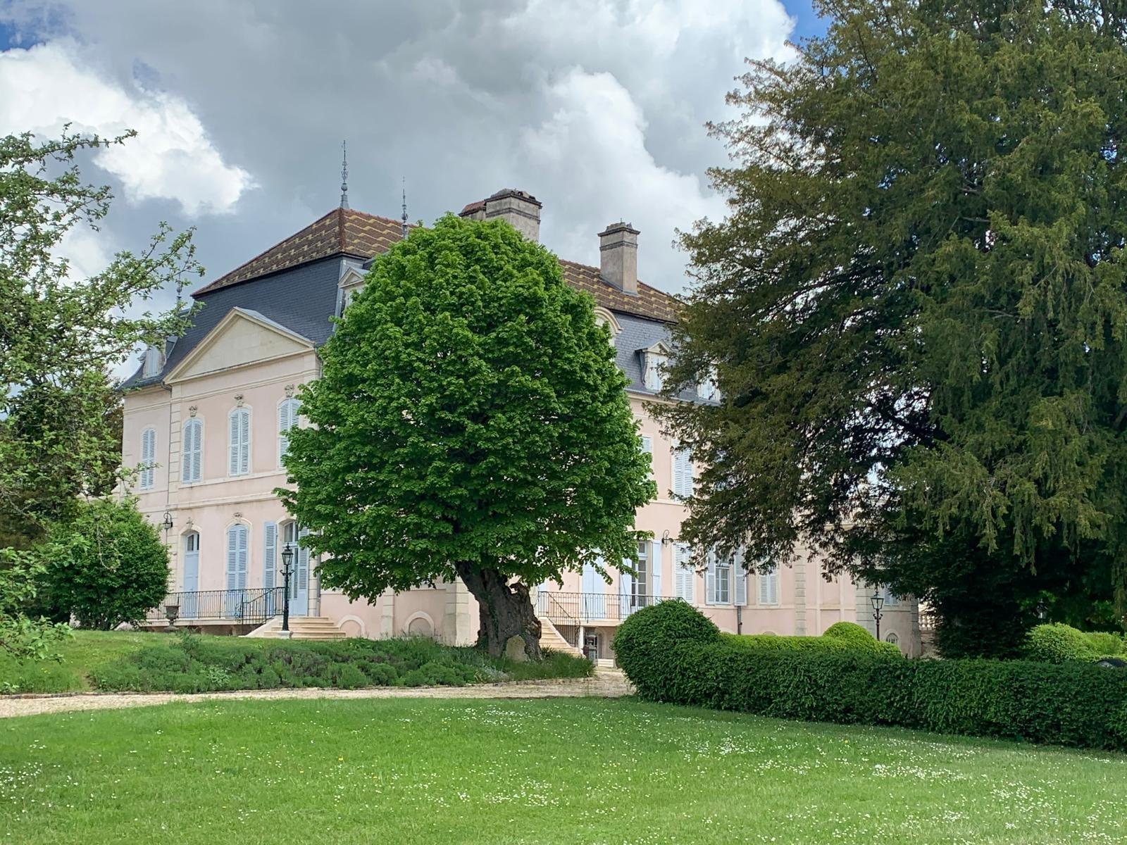 Magnifique Château Plein De Charme Castle in Dijon, Bourgogne-Franche-Comté, France