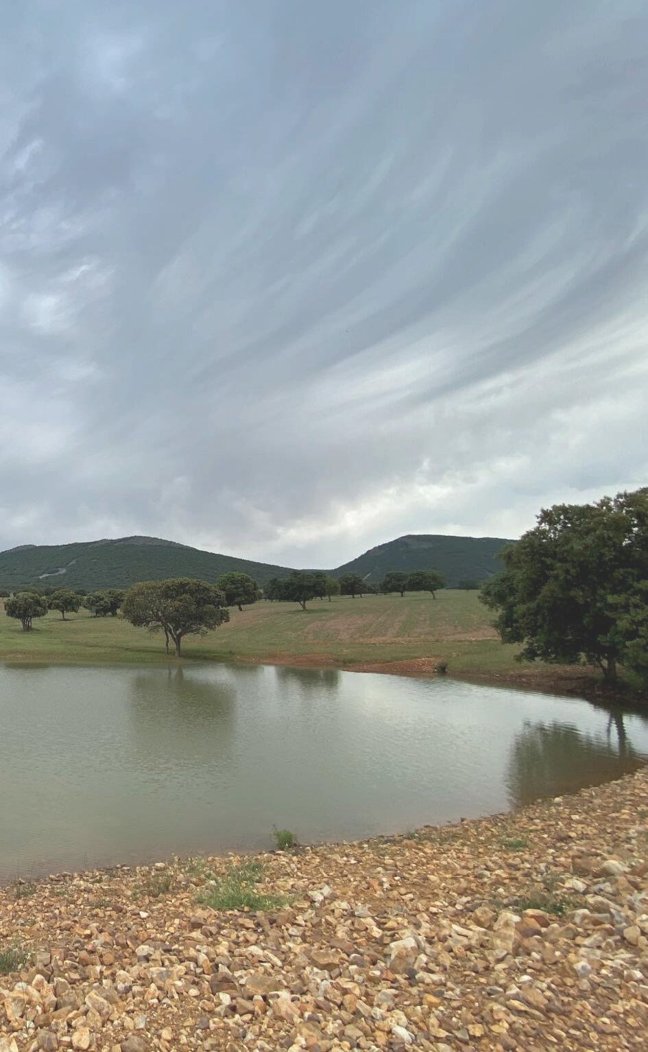 Hunting Estate With Almost 5,000 Acres In The Heart Of The Toledo Mountain. Estate in Ciudad Real, Castile-La Mancha, Spain