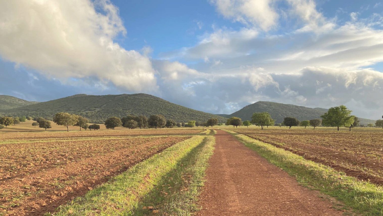 Hunting Estate With Almost 5,000 Acres In The Heart Of The Toledo Mountain. Estate in Ciudad Real, Castile-La Mancha, Spain