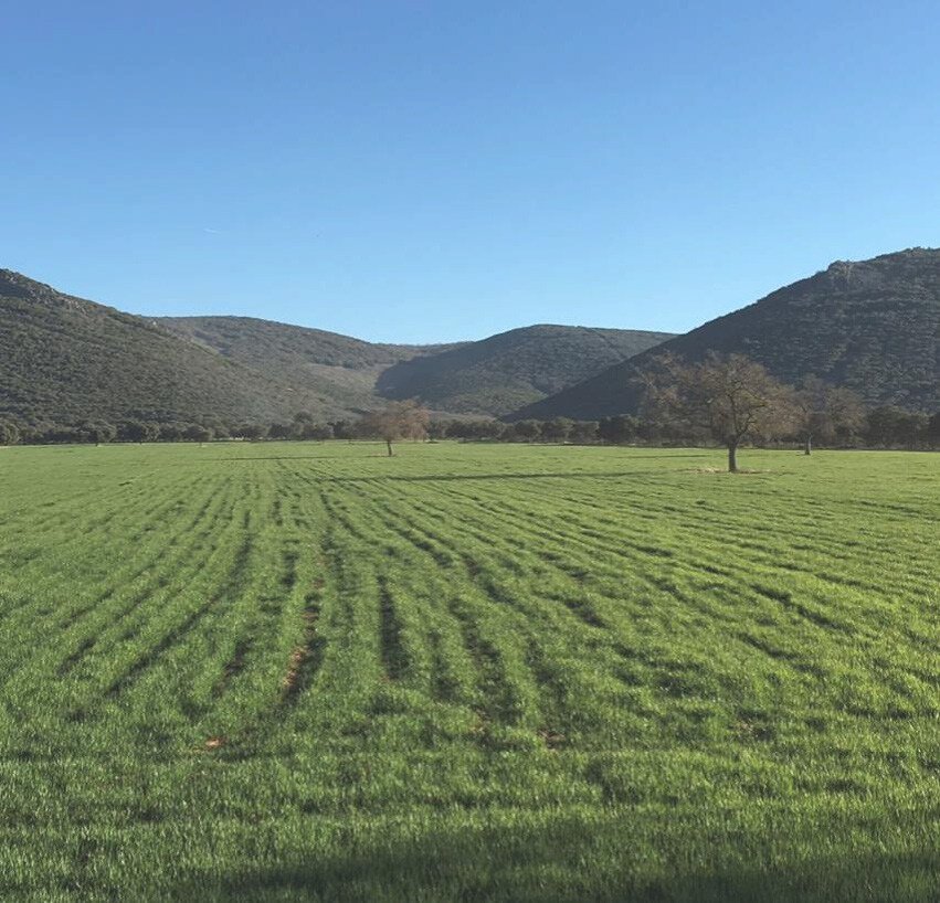 Hunting Estate With Almost 5,000 Acres In The Heart Of The Toledo Mountain. Estate in Ciudad Real, Castile-La Mancha, Spain