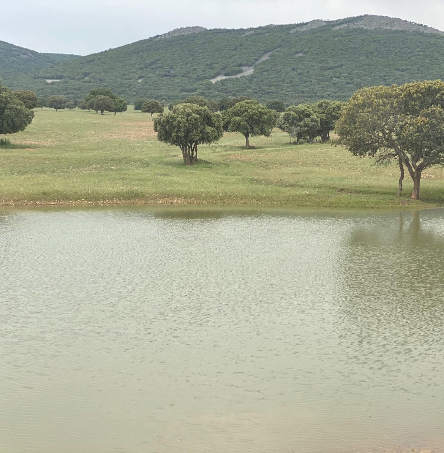 Hunting Estate With Almost 5,000 Acres In The Heart Of The Toledo Mountain. Estate in Ciudad Real, Castile-La Mancha, Spain