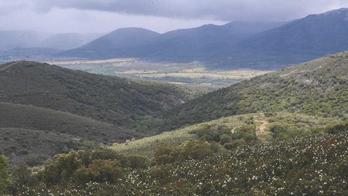 Hunting Estate With Almost 5,000 Acres In The Heart Of The Toledo Mountain. Estate in Ciudad Real, Castile-La Mancha, Spain