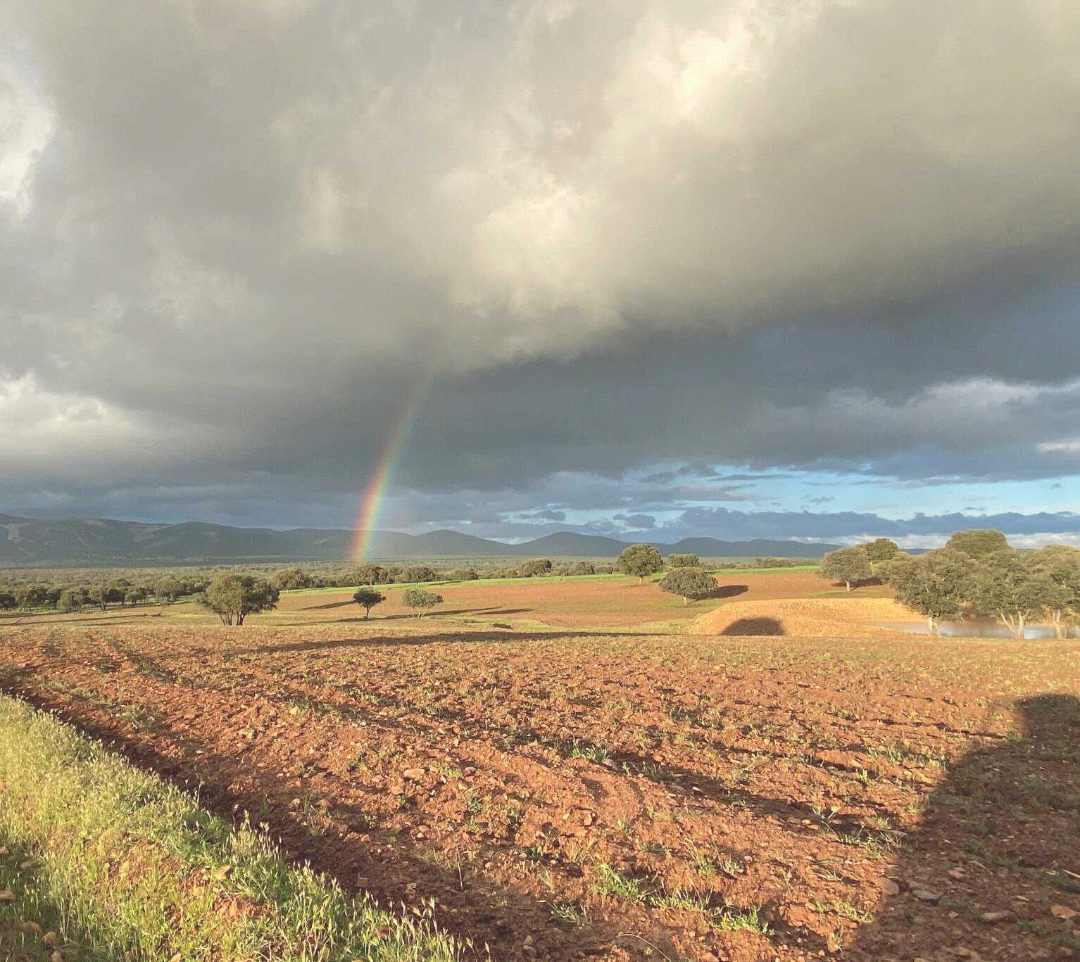 Hunting Estate With Almost 5,000 Acres In The Heart Of The Toledo Mountain. Estate in Ciudad Real, Castile-La Mancha, Spain