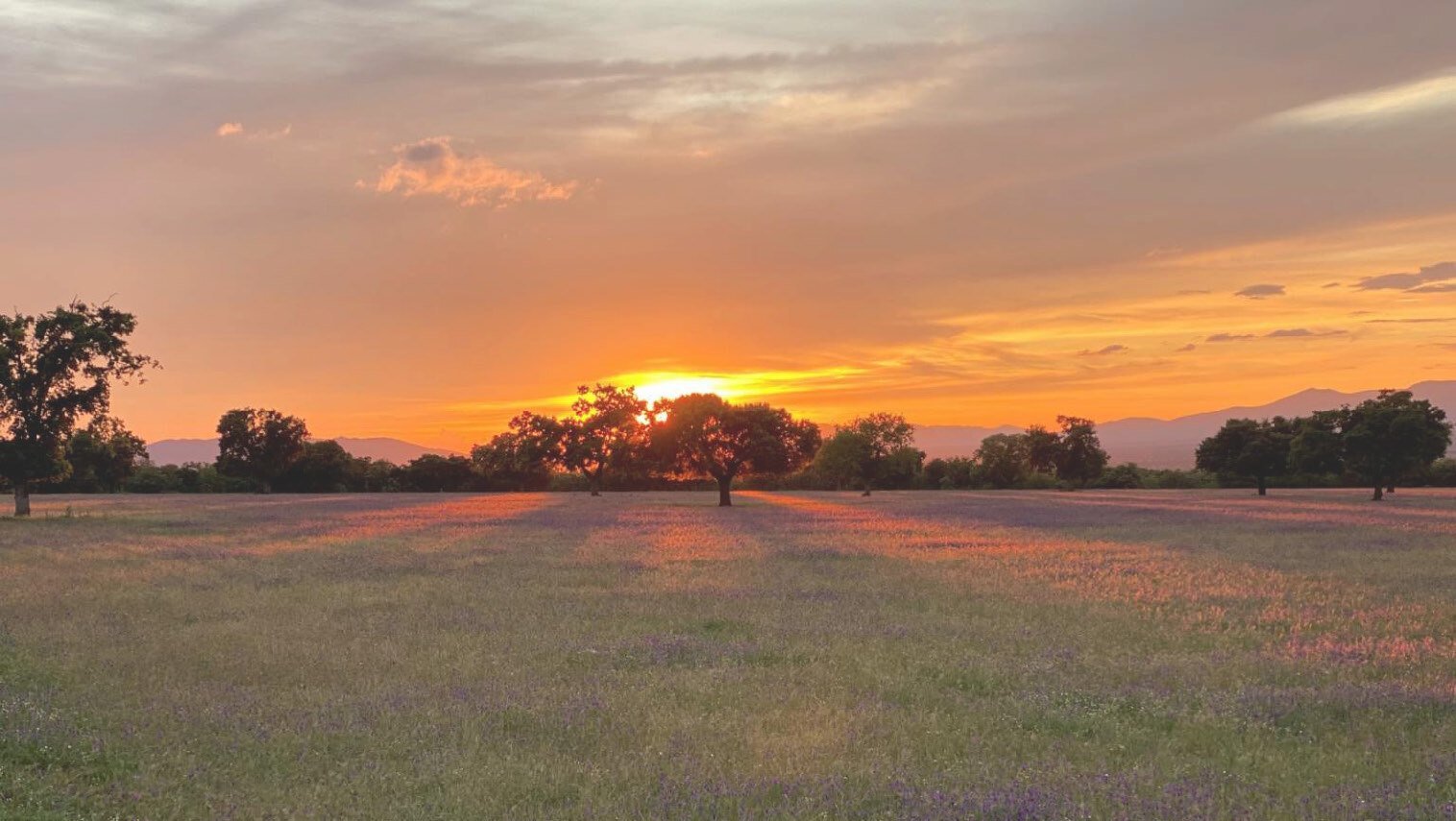 Hunting Estate With Almost 5,000 Acres In The Heart Of The Toledo Mountain. Estate in Ciudad Real, Castile-La Mancha, Spain