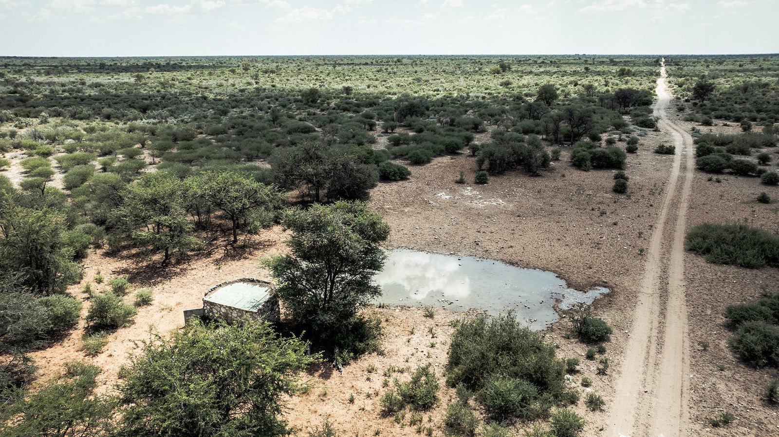 Botswana Conservancy Estate in Ghanzi, Ghanzi District, Botswana