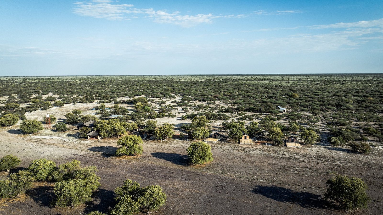Botswana Conservancy Estate in Ghanzi, Ghanzi District, Botswana