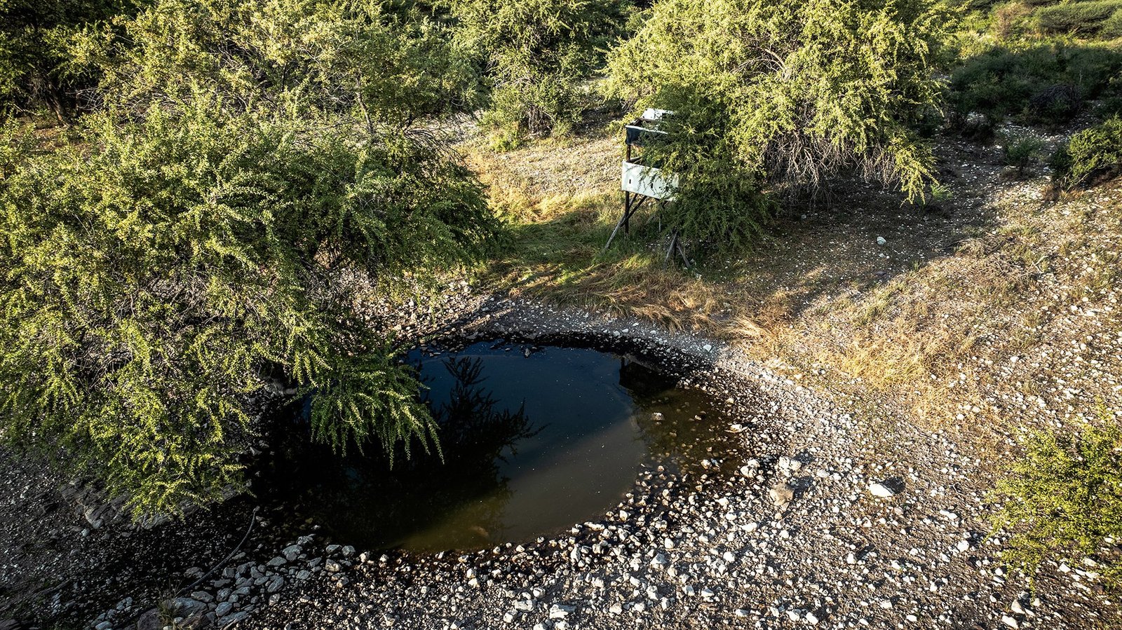 Botswana Conservancy Estate in Ghanzi, Ghanzi District, Botswana