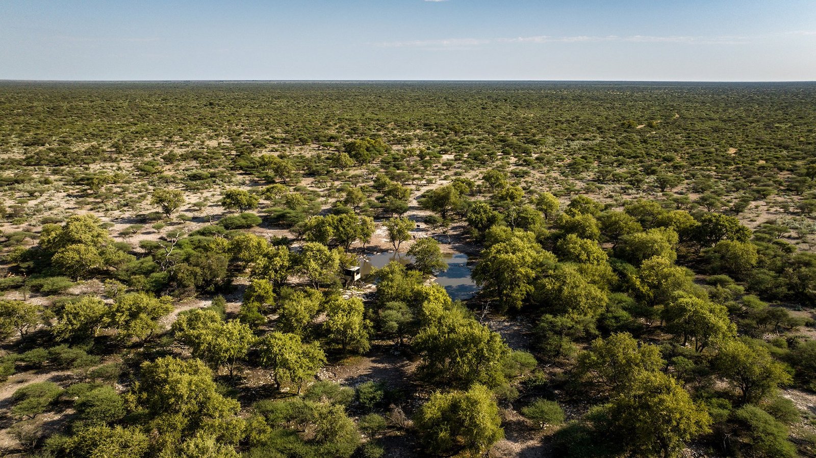 Botswana Conservancy Estate in Ghanzi, Ghanzi District, Botswana