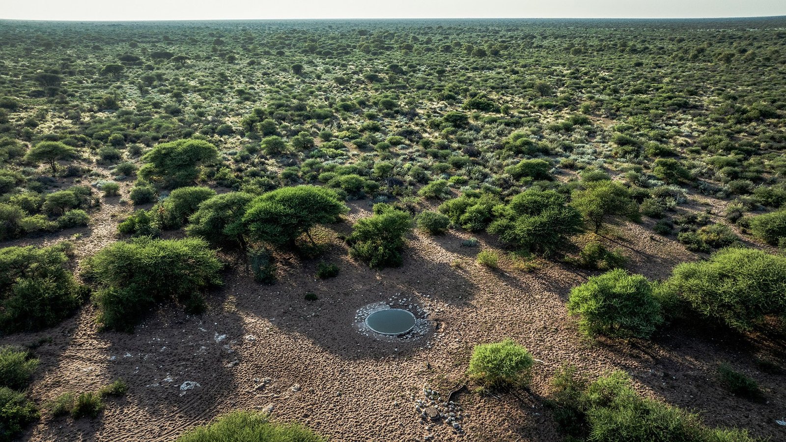 Botswana Conservancy Estate in Ghanzi, Ghanzi District, Botswana
