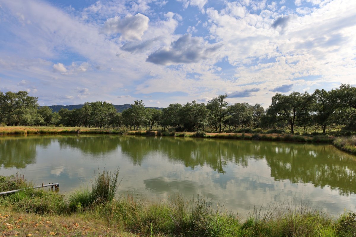 18,634 Acres Of Timeless Grandeur And Rugged Spanish Natural Beauty: El Casarejo Estate in Piedrabuena, Castile-La Mancha, Spain