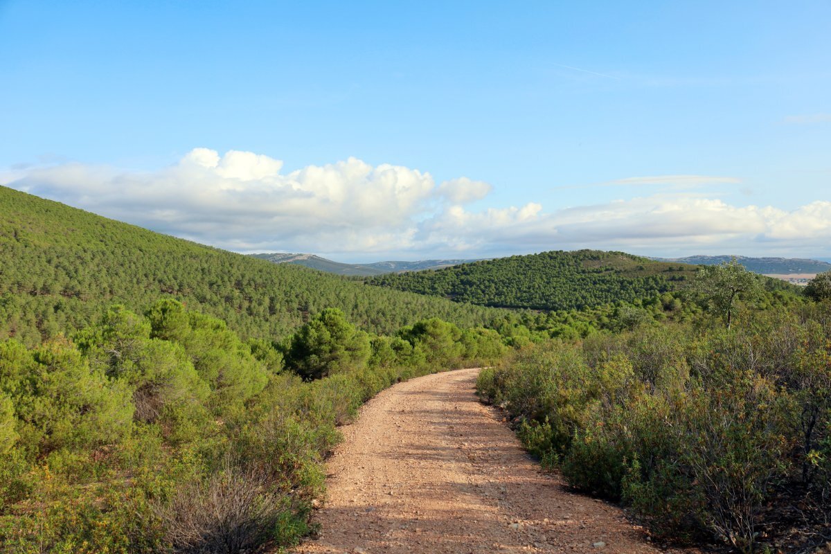 18,634 Acres Of Timeless Grandeur And Rugged Spanish Natural Beauty: El Casarejo Estate in Piedrabuena, Castile-La Mancha, Spain