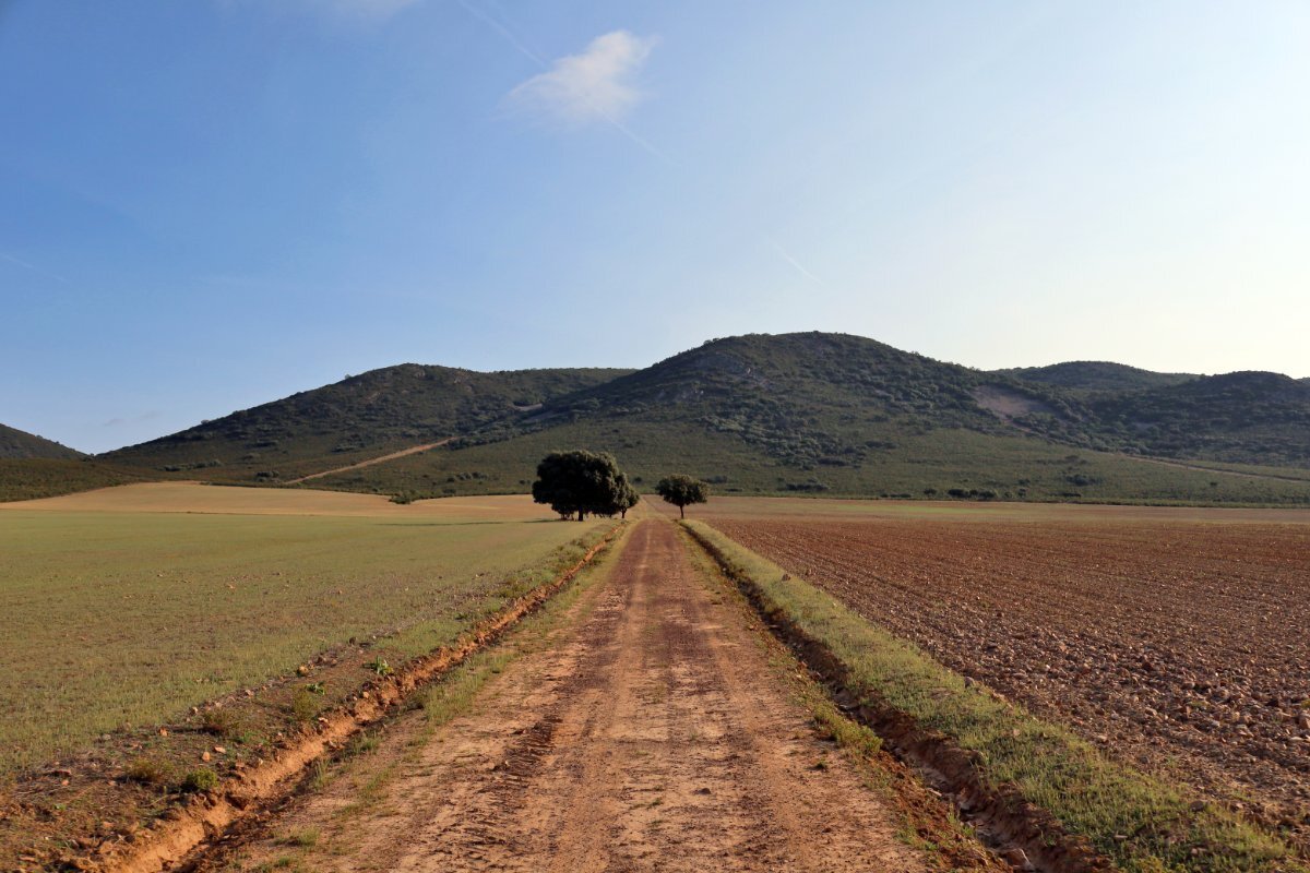 18,634 Acres Of Timeless Grandeur And Rugged Spanish Natural Beauty: El Casarejo Estate in Piedrabuena, Castile-La Mancha, Spain