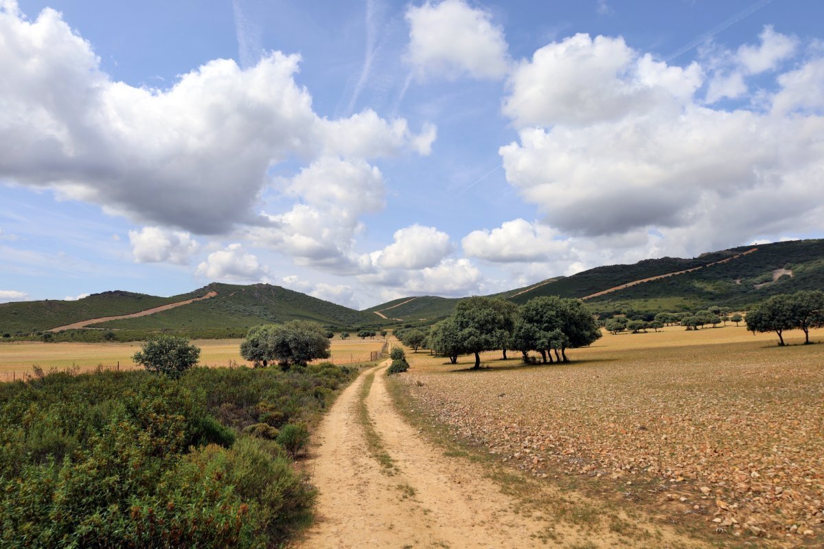 18,634 Acres Of Timeless Grandeur And Rugged Spanish Natural Beauty: El Casarejo Estate in Piedrabuena, Castile-La Mancha, Spain