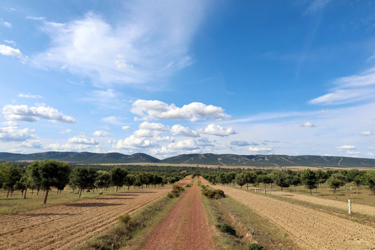 18,634 Acres Of Timeless Grandeur And Rugged Spanish Natural Beauty: El Casarejo Estate in Piedrabuena, Castile-La Mancha, Spain