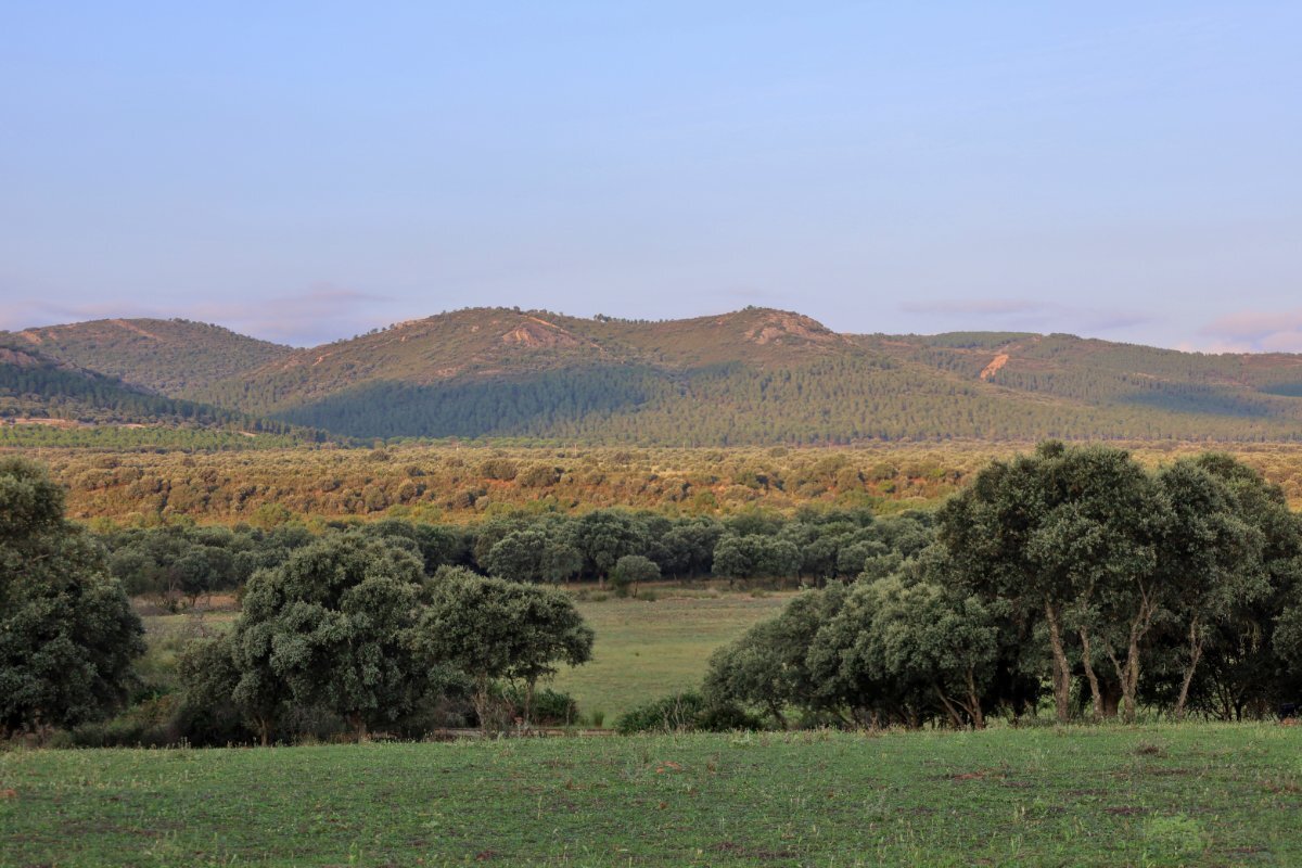 18,634 Acres Of Timeless Grandeur And Rugged Spanish Natural Beauty: El Casarejo Estate in Piedrabuena, Castile-La Mancha, Spain