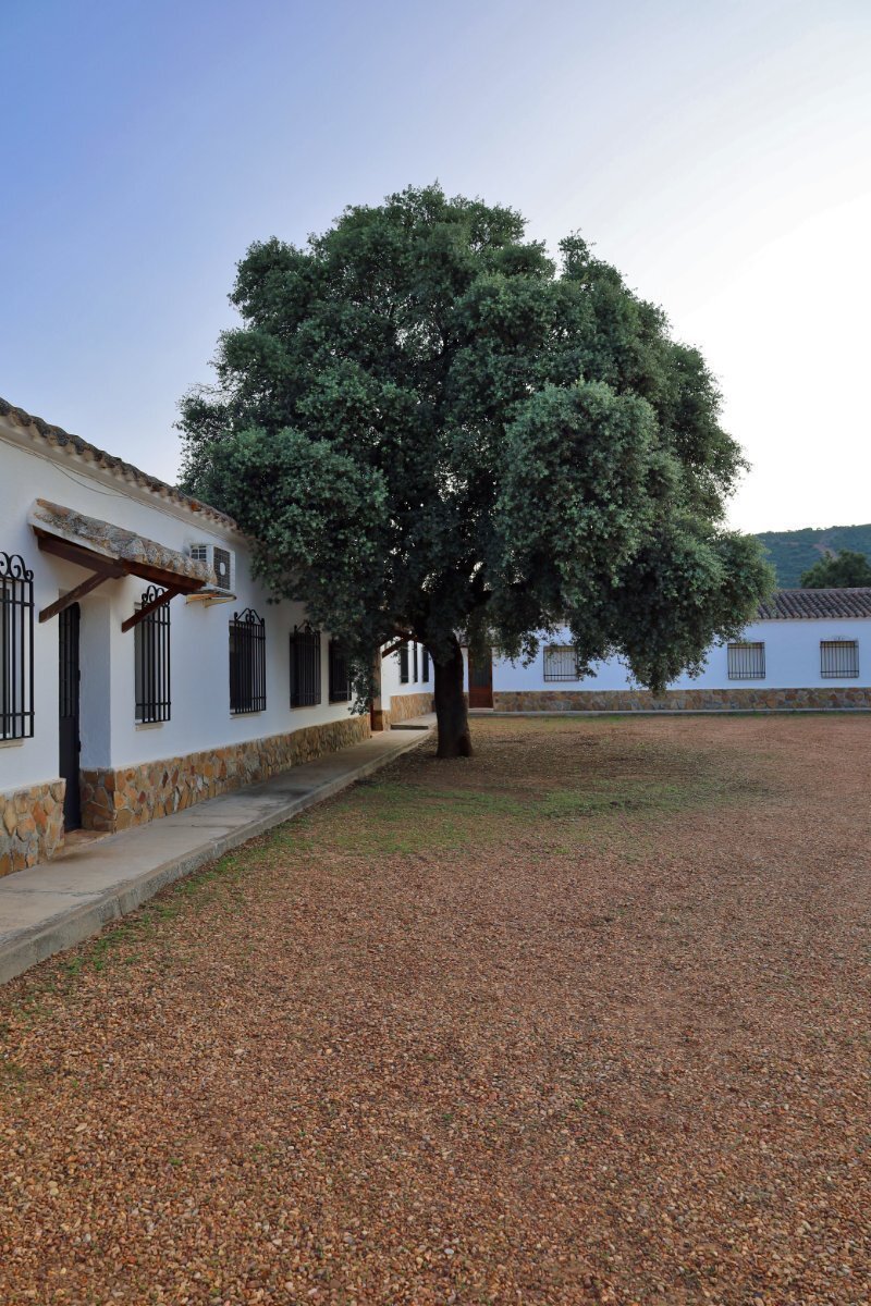 18,634 Acres Of Timeless Grandeur And Rugged Spanish Natural Beauty: El Casarejo Estate in Piedrabuena, Castile-La Mancha, Spain