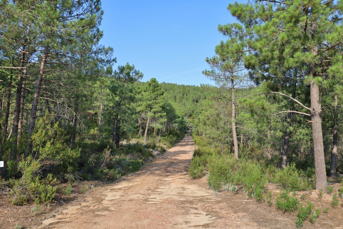 18,634 Acres Of Timeless Grandeur And Rugged Spanish Natural Beauty: El Casarejo Estate in Piedrabuena, Castile-La Mancha, Spain