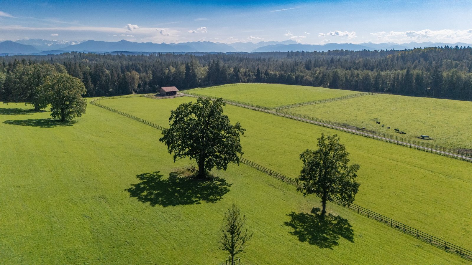 Stud Farm In A Dream Setting. Superlative Riding Facility With Historic Villa. Farm Ranch in Lake Starnberg, Bavaria, Germany