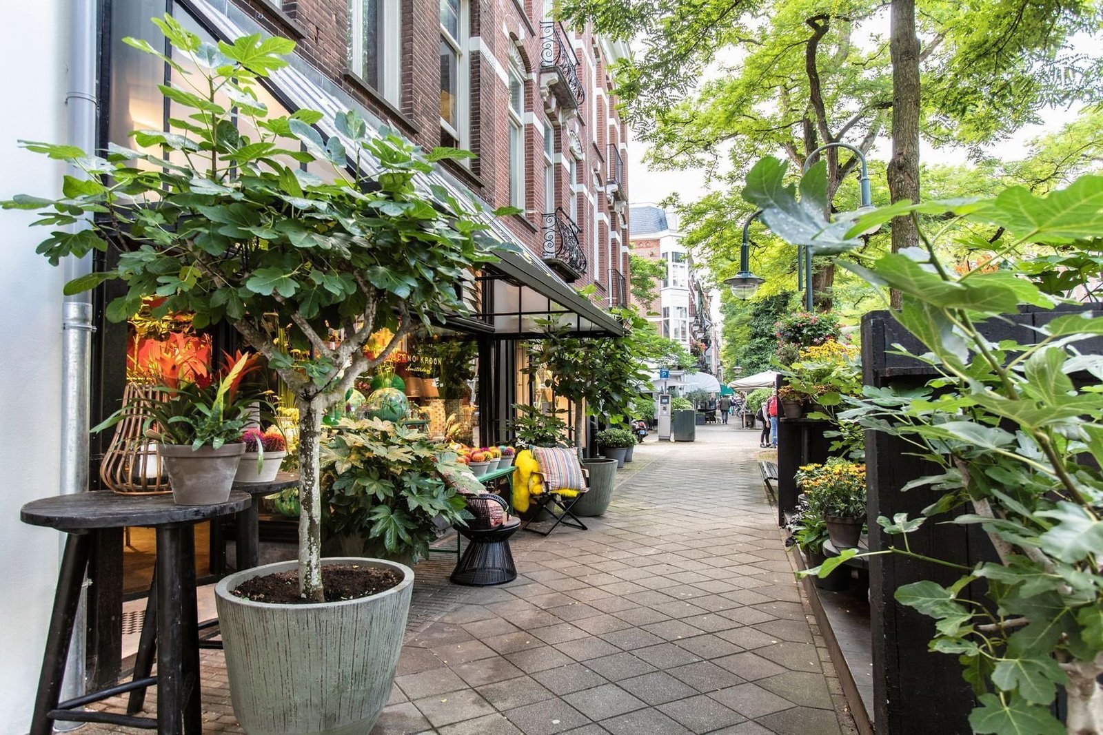 Amsterdam Town House House in Apollobuurt, North Holland, Netherlands