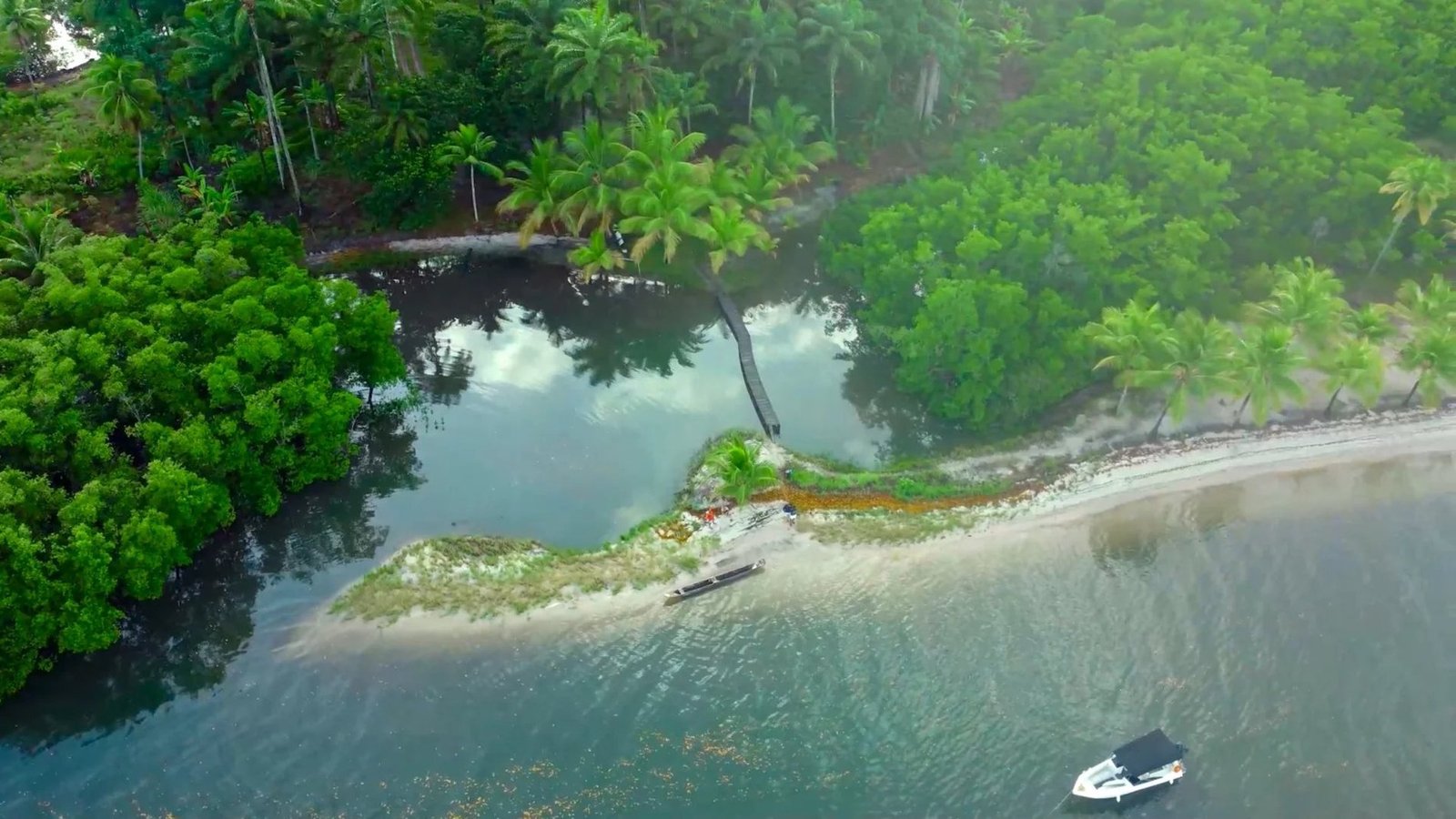 Bah330 Wild Island For Hotel Development House in Igrapiúna, Brazil