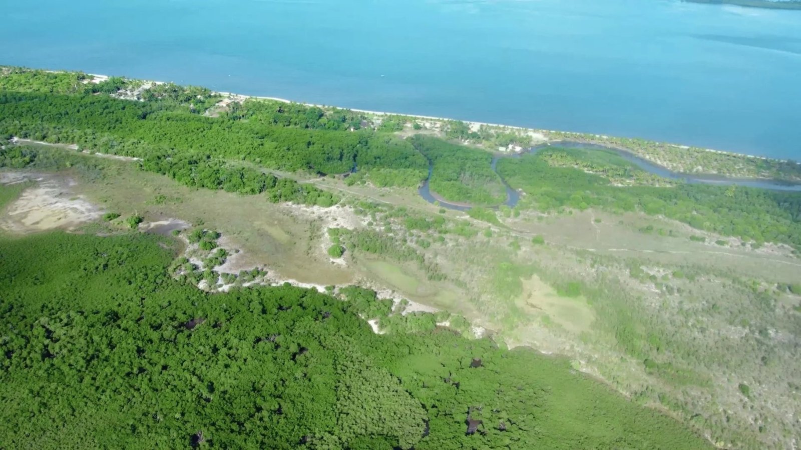 Bah330 Wild Island For Hotel Development House in Igrapiúna, Brazil