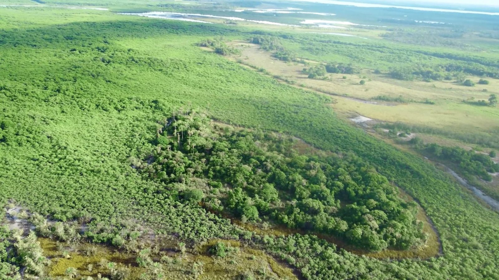 Bah330 Wild Island For Hotel Development House in Igrapiúna, Brazil