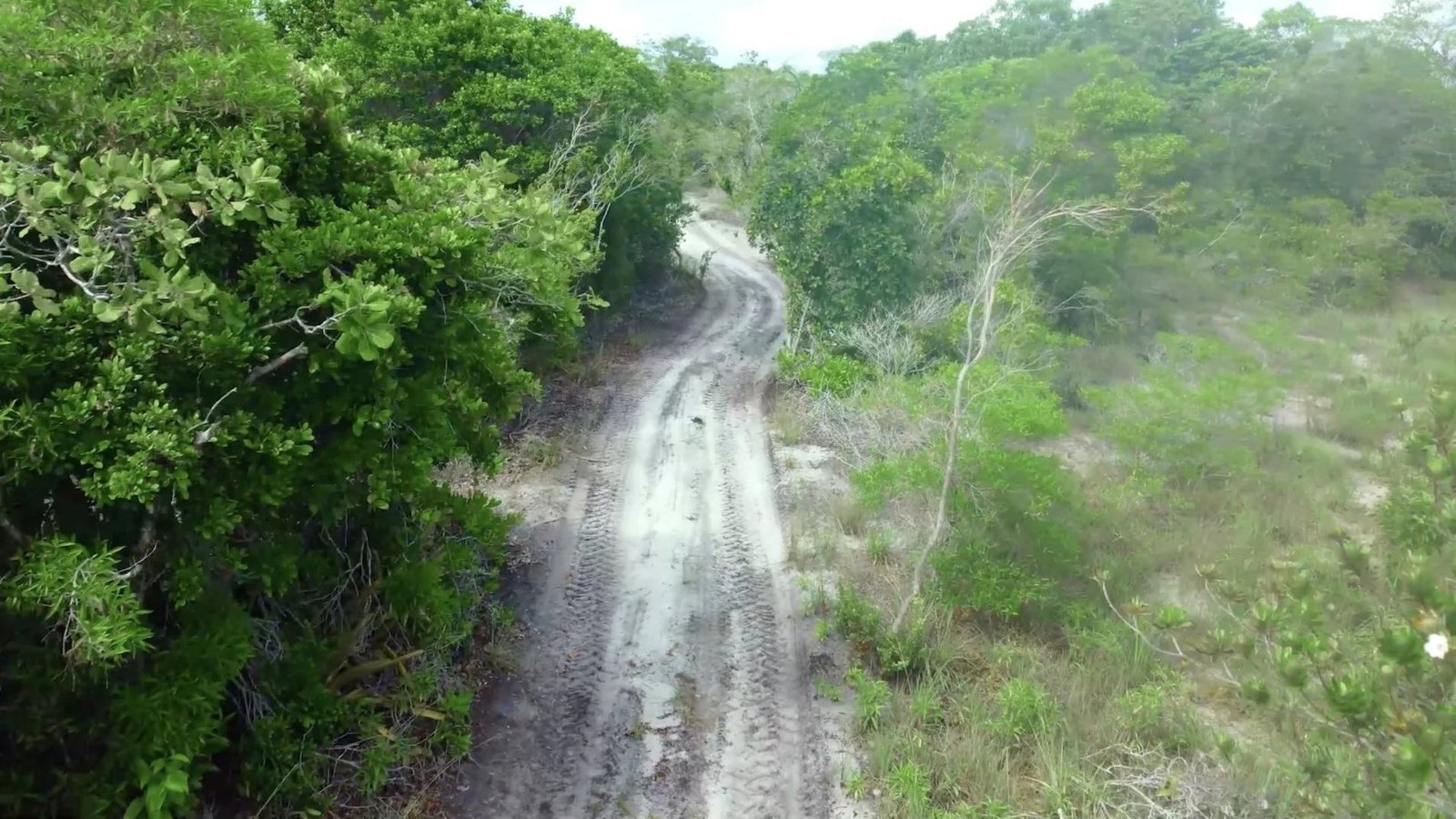 Bah330 Wild Island For Hotel Development House in Igrapiúna, Brazil