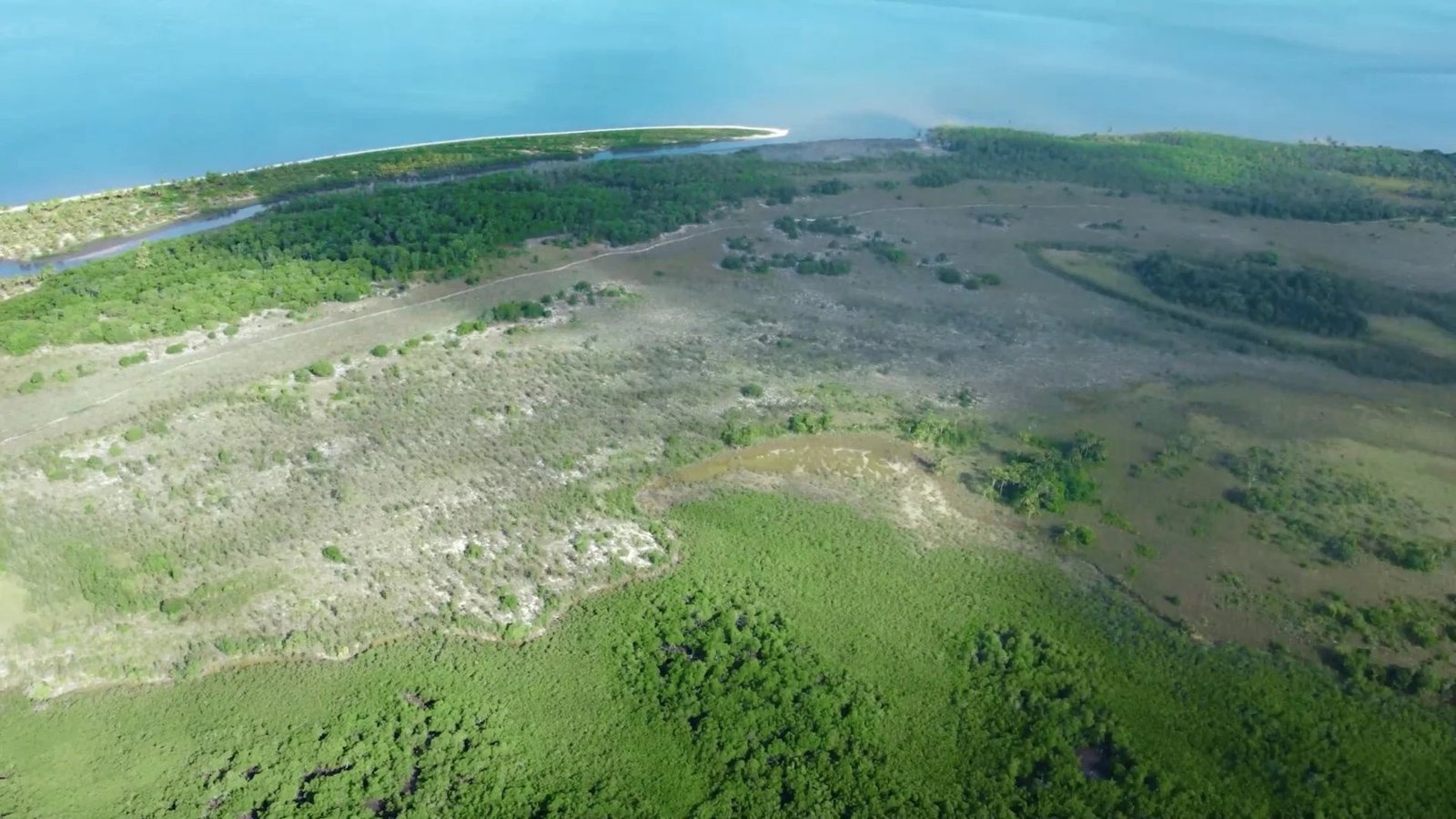 Bah330 Wild Island For Hotel Development House in Igrapiúna, Brazil