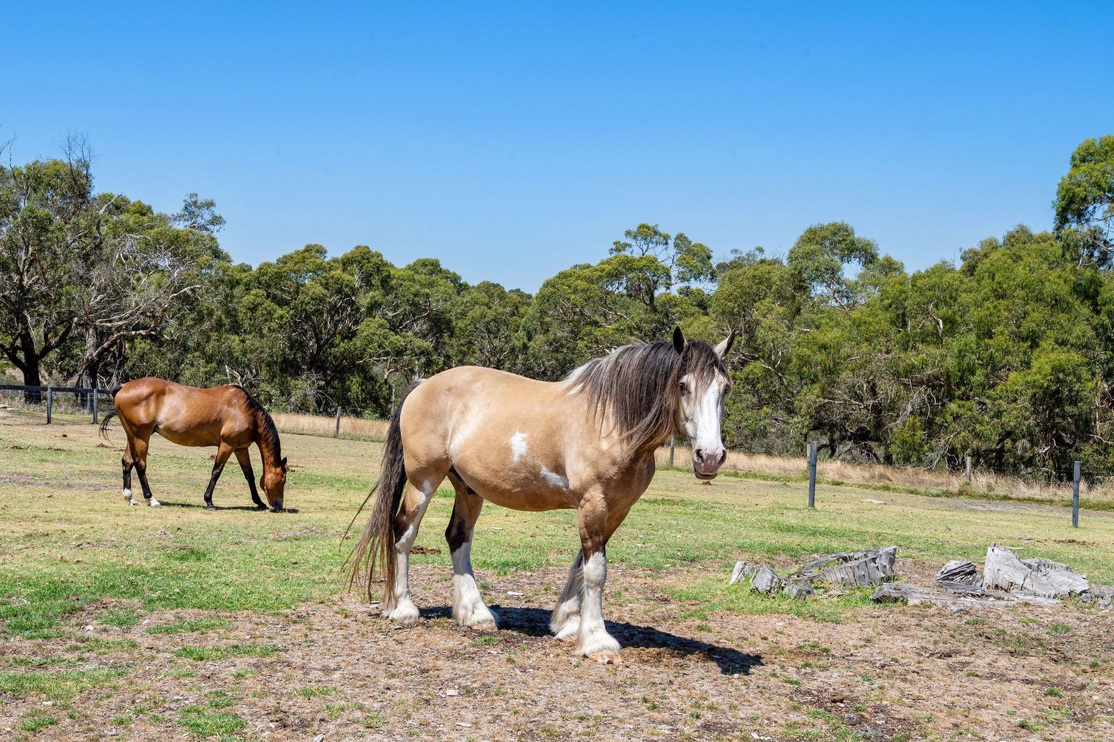 Tranquil Countryside Living House in Mount Martha, Victoria, Australia