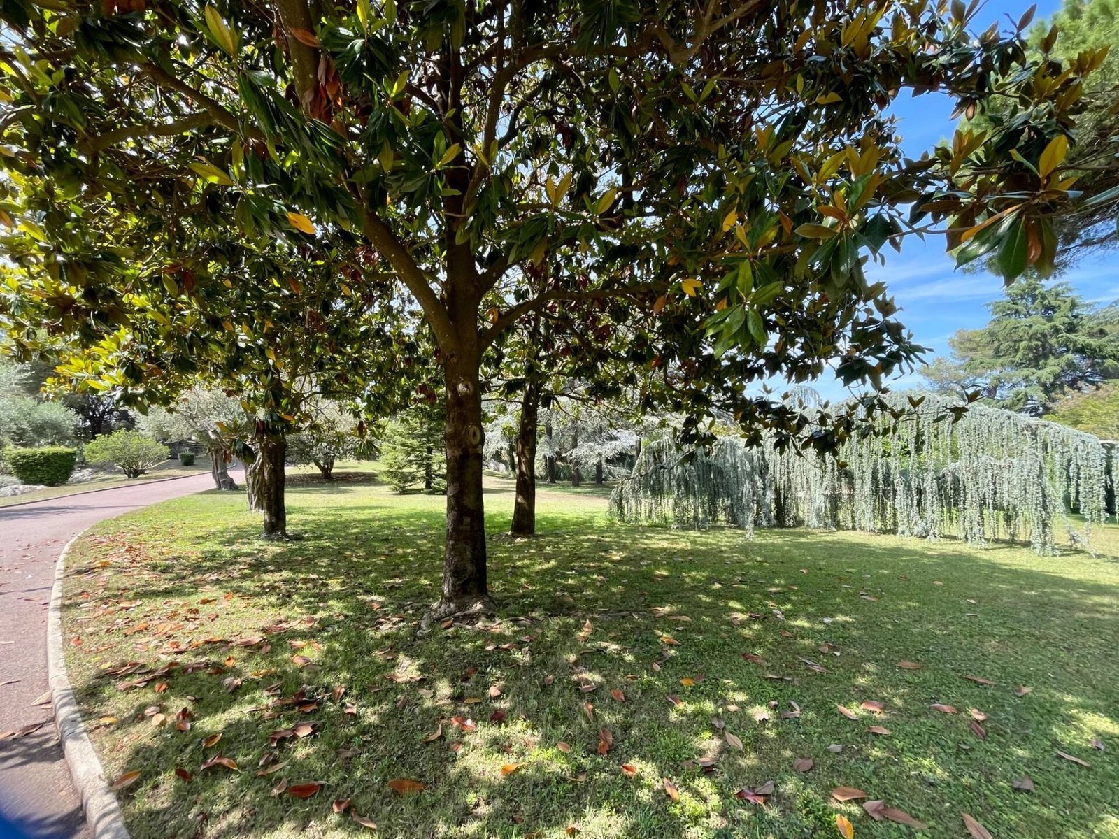 4 Hectare Estate In Nice House in Nice, Provence Alpes Côte D’azur, France