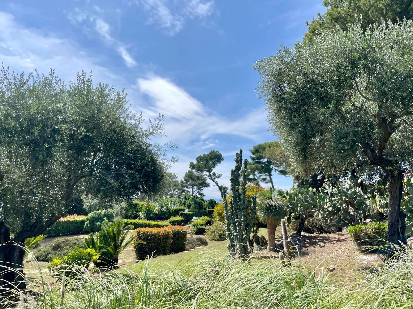 4 Hectare Estate In Nice House in Nice, Provence Alpes Côte D’azur, France