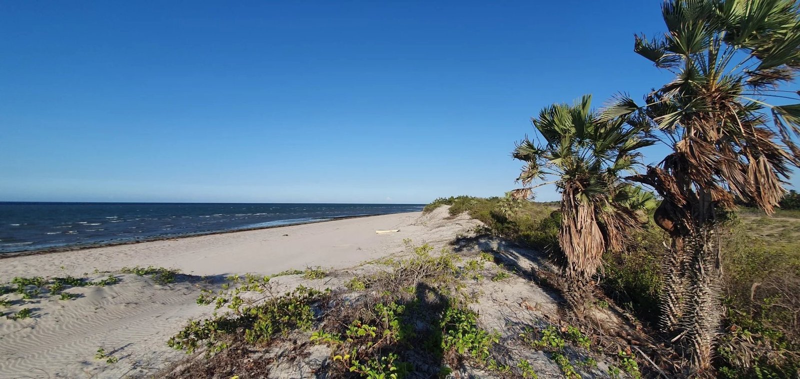 Land in State of Ceará, Brazil