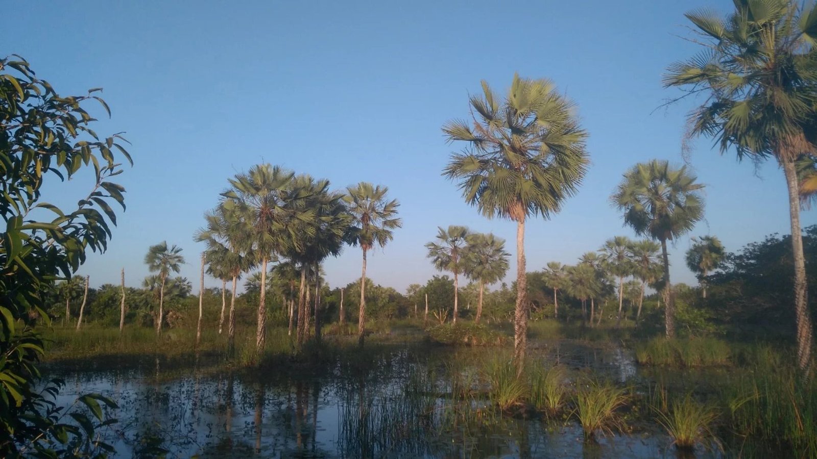 Land in State of Ceará, Brazil