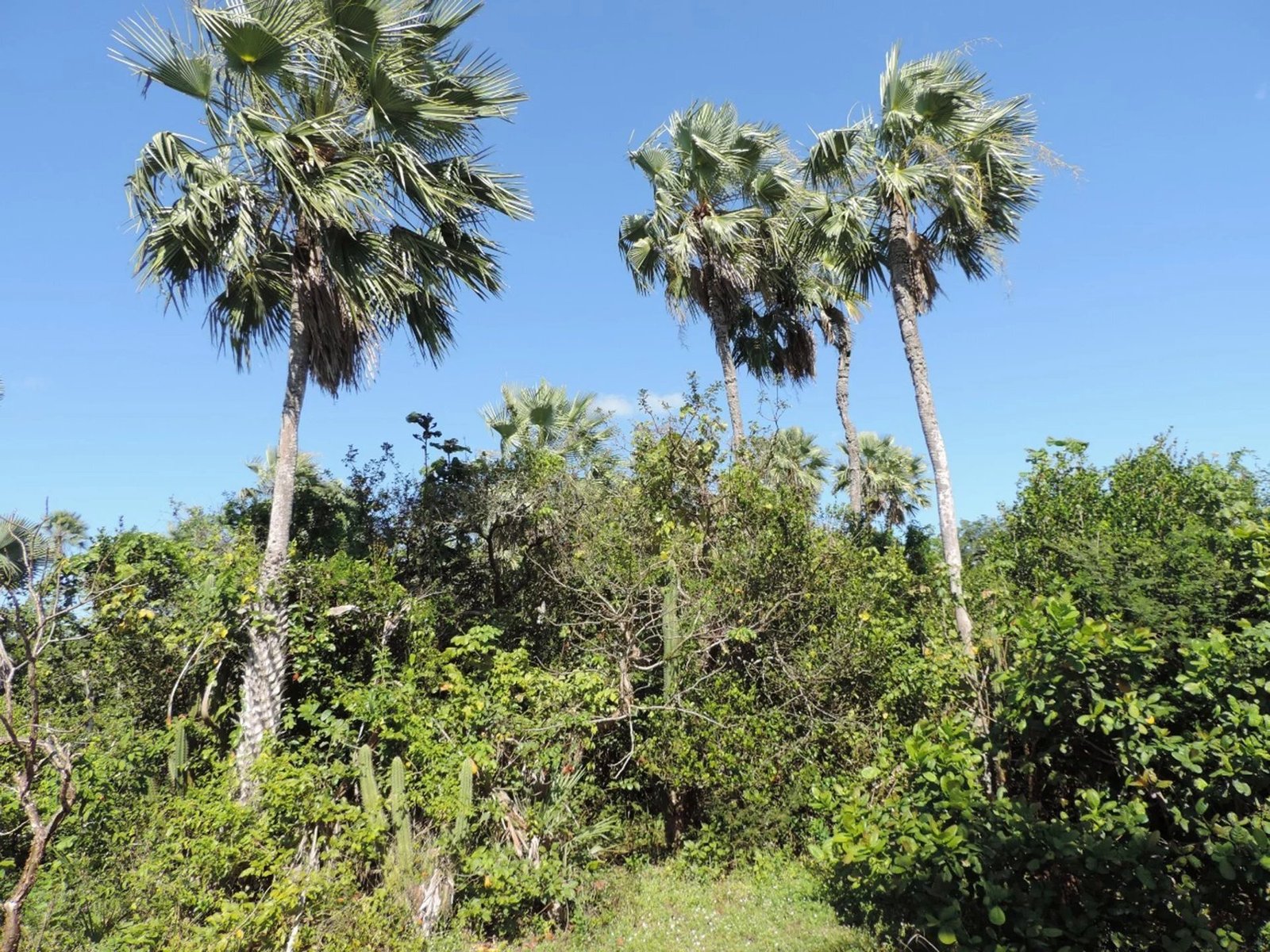 Land in State of Ceará, Brazil