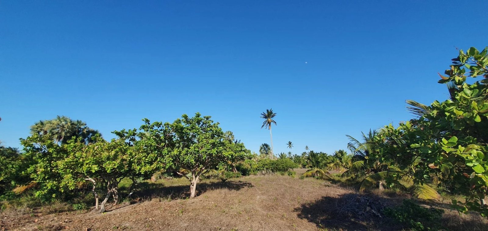 Land in State of Ceará, Brazil