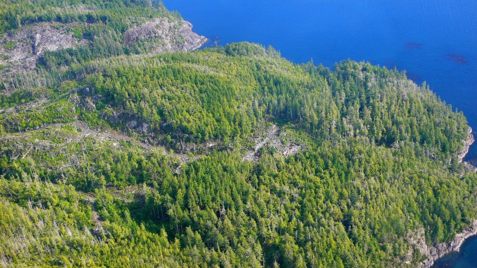 Private Island in Heard Island, British Columbia, Canada