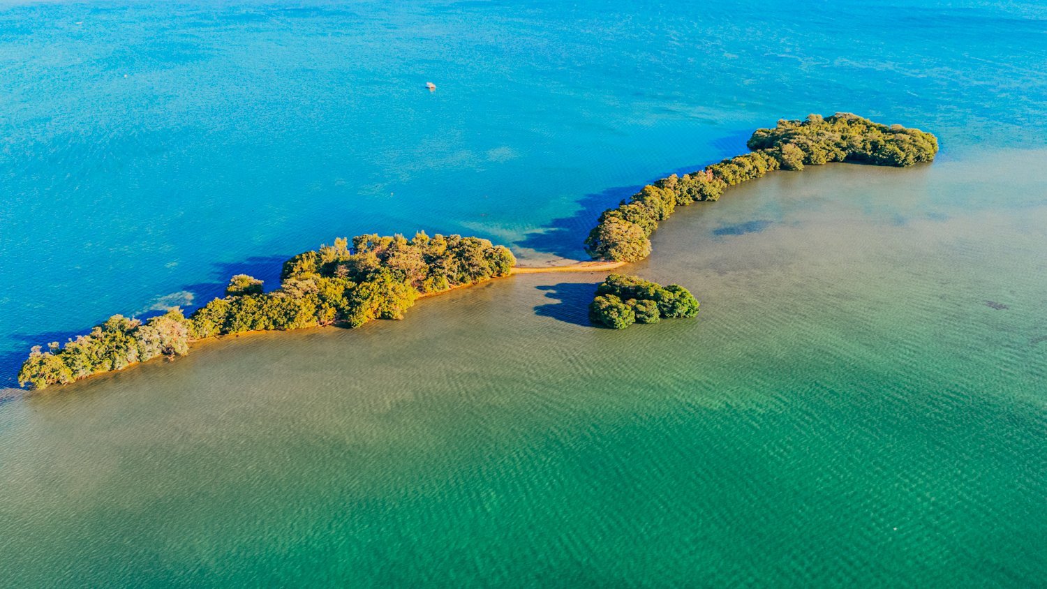 Private Island in Miami, Florida, United States