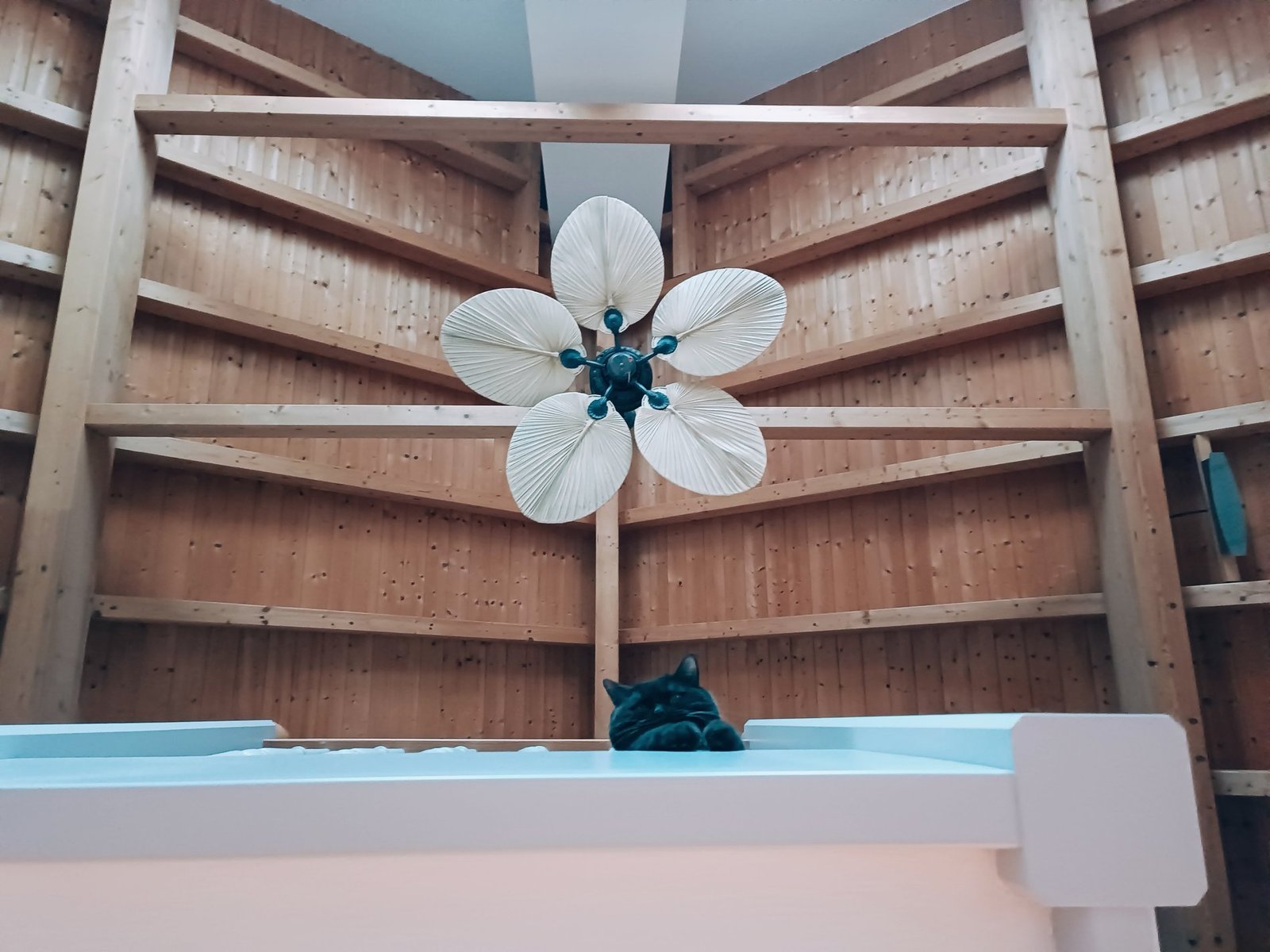 Landhaus Im Amerikanischen Stil Villa in Dillingen, Bavaria, Germany