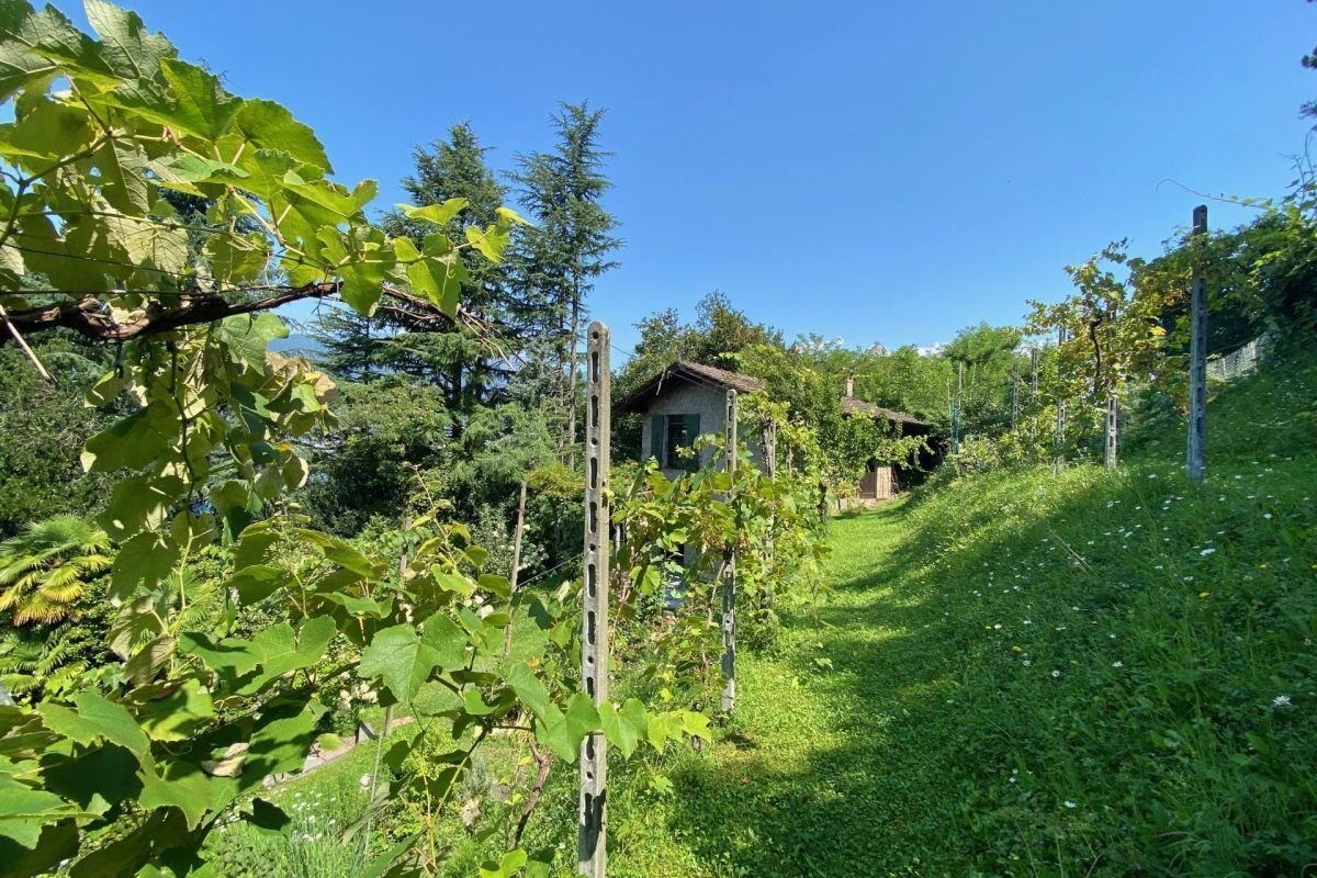 Villa in Gambarogno, Ticino, Switzerland