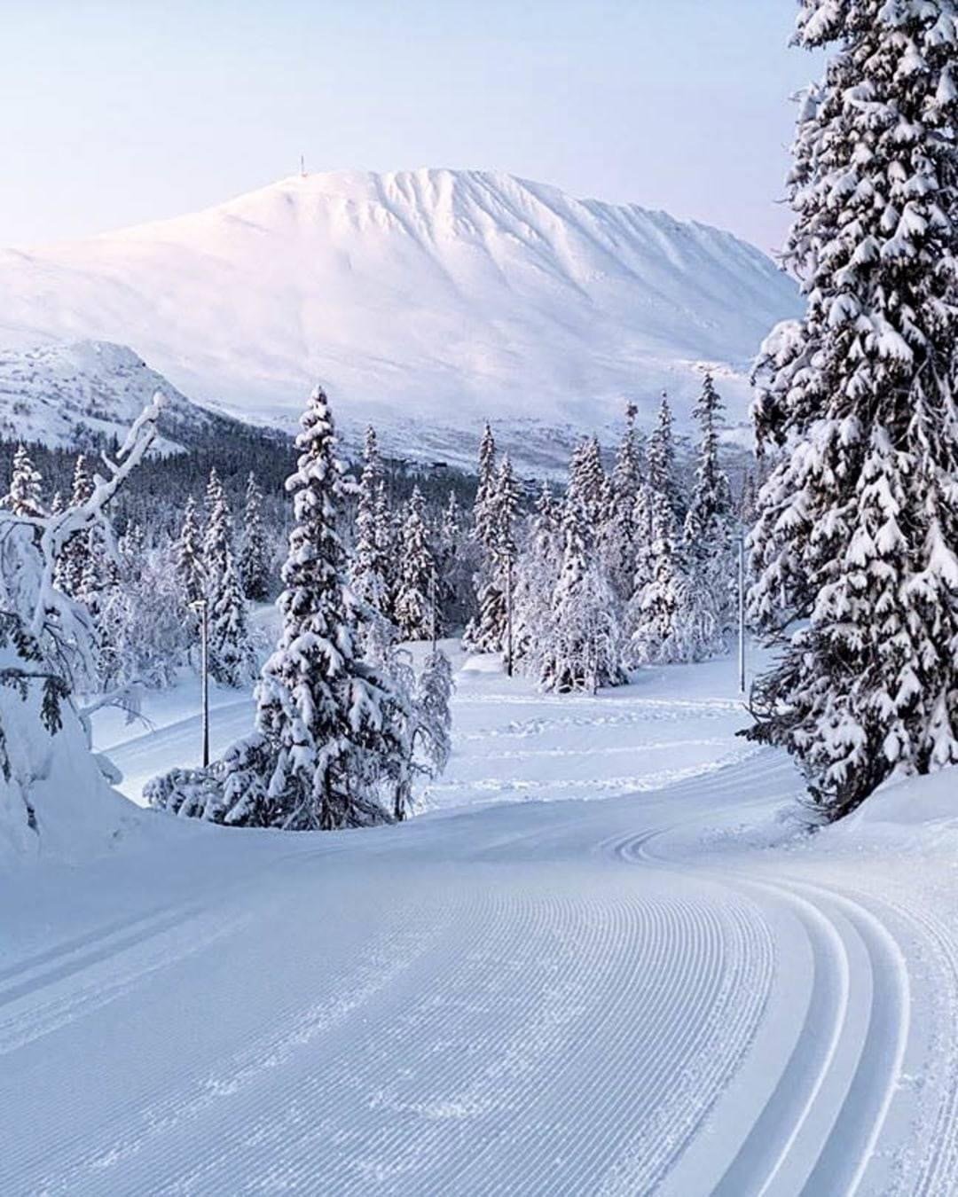 Luxury Alpine Retreat – Ski In/Out, High Quality, Spectacular Views Of Gaustatoppen Chalet in Rjukan, Telemark, Norway 1 - 16333138