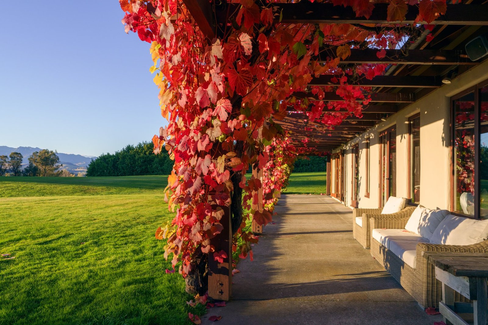 Country House in Wanaka, Otago, New Zealand 1 - 16299217