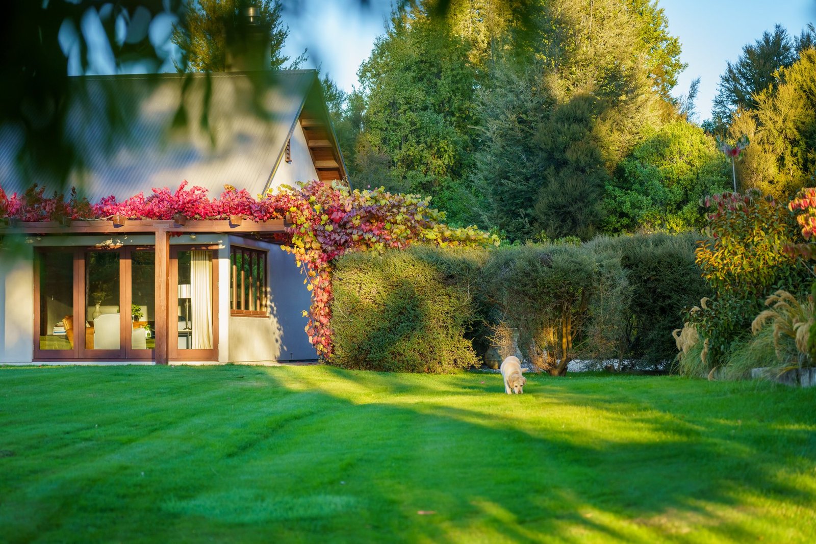 Country House in Wanaka, Otago, New Zealand 1 - 16299217