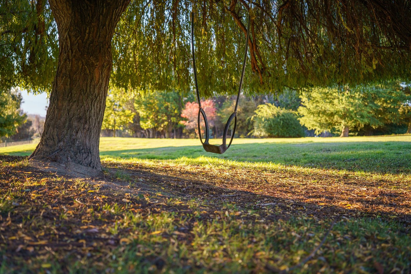 Country House in Wanaka, Otago, New Zealand 1 - 16299217