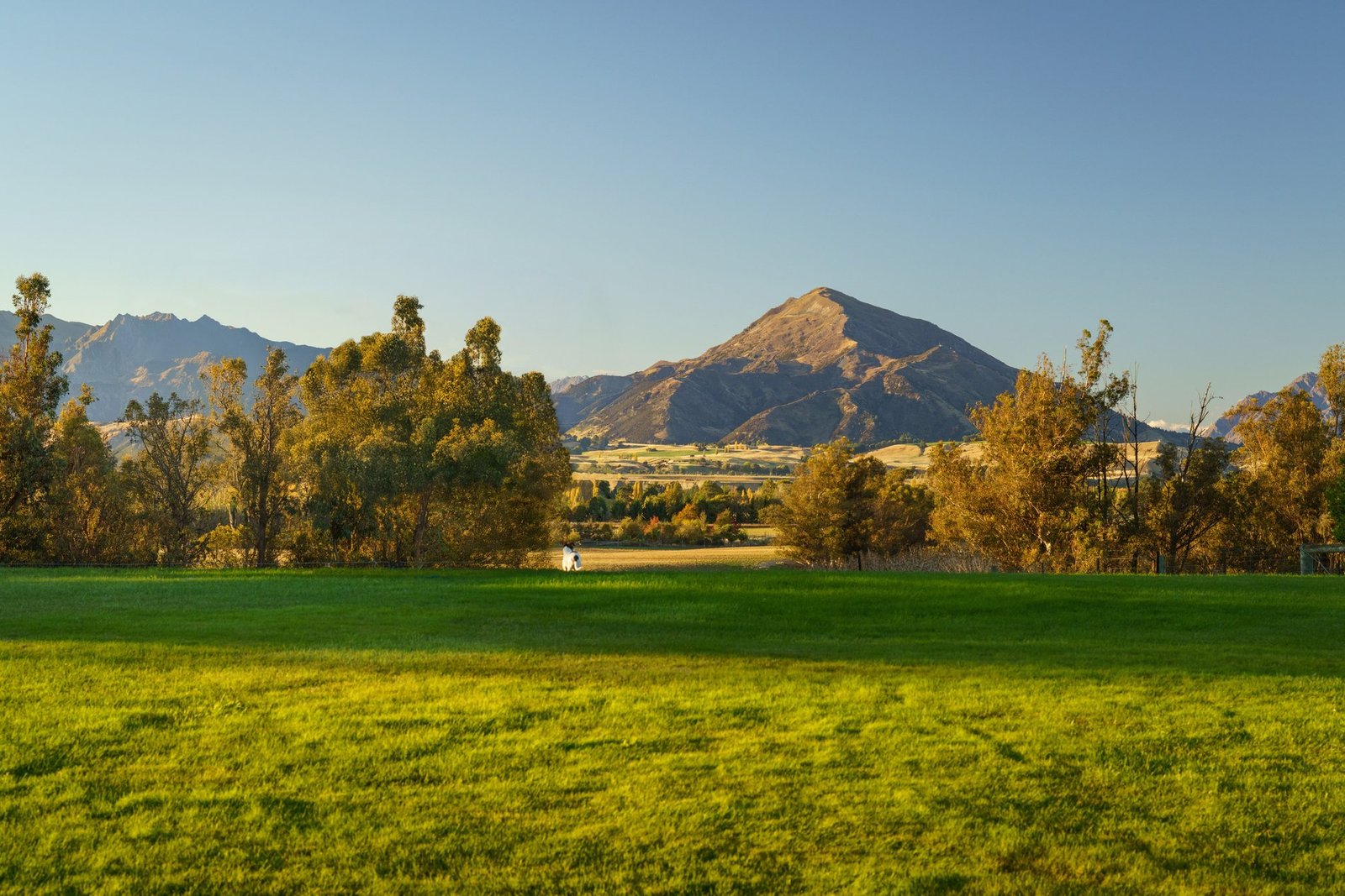 Country House in Wanaka, Otago, New Zealand 1 - 16299217