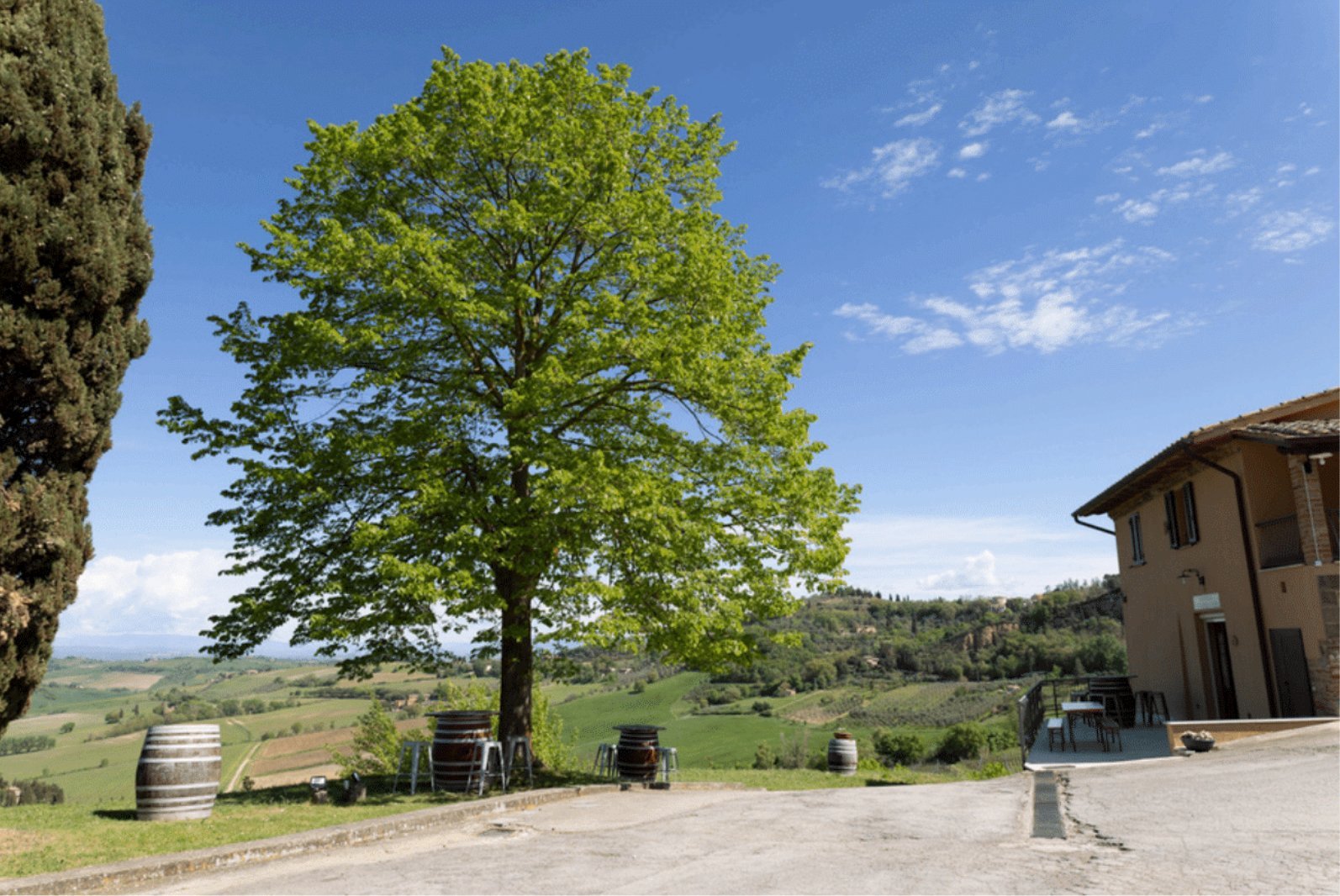 Organic Winery Estate In Montepulciano 50 Hec Of Premium Vineyards And Olive Groves Estate in Montepulciano, Tuscany, Italy 1 - 15628784